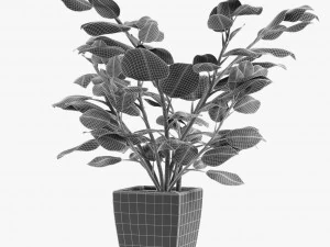 realistic palm garden 3D Model