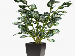 realistic palm garden 3D 模型