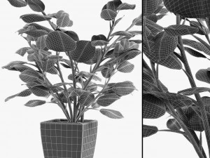 realistic palm garden 3D Model
