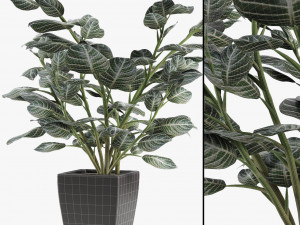 realistic palm garden 3D 模型