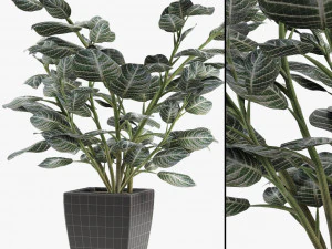 realistic palm garden 3D Model