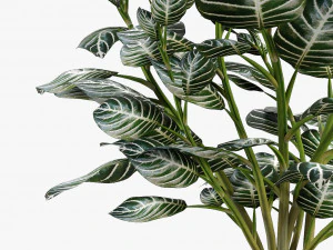 realistic palm garden 3D Model