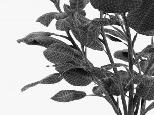 realistic palm garden 3D Model