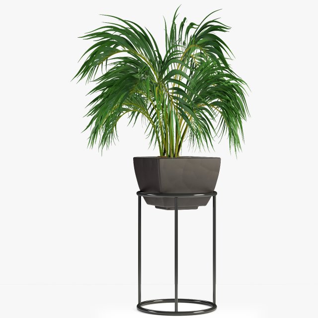 realistic palm garden 3Dモデル .c4d .max .obj .3ds .fbx .stl .blend 