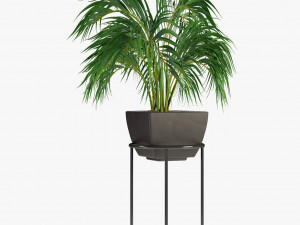 realistic palm garden 3D Model