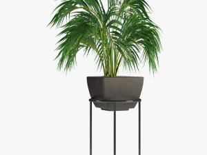 realistischer Palmengarten 3D Modell