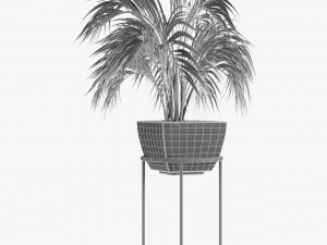 realistic palm garden 3Dモデル
