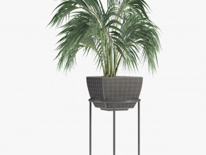 realistic palm garden 3Dモデル