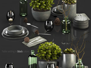 table setting in black colors 3D Model