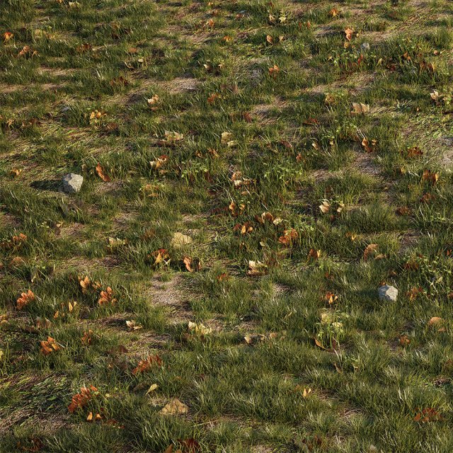house grass or lawns Modelo 3D .c4d .max .obj .3ds .fbx .stl .blend 