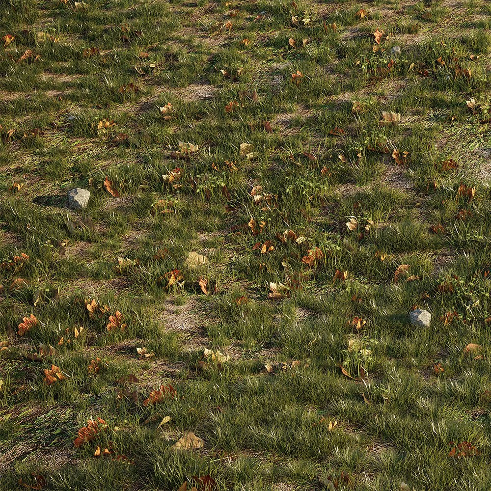 house grass or lawns 3D Model .c4d .max .obj .3ds .fbx .stl .blend