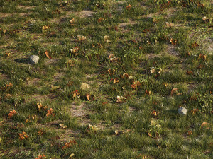 house grass or lawns 3D Model