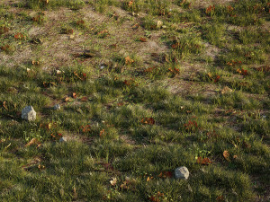 house grass or lawns Modelo 3D