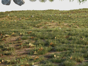 house grass or lawns Modelo 3D