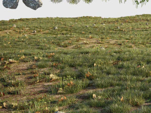 house grass or lawns 3D Model