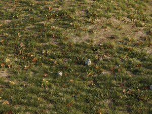 house grass or lawns Modelo 3D