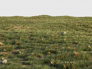 house grass or lawns Modelo 3D