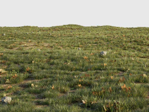 house grass or lawns 3D Model