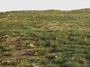 house grass or lawns Modelo 3D