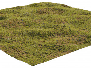 house grass or lawns Modelo 3D