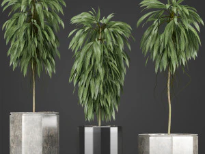 植物集合 08 3D 模型