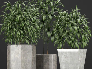 पौधों का संग्रह 09 3D मॉडल