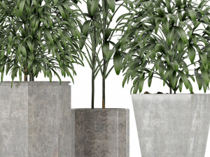 plants collection 09 Modèle 3D