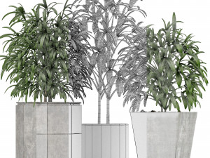 plants collection 09 Modèle 3D