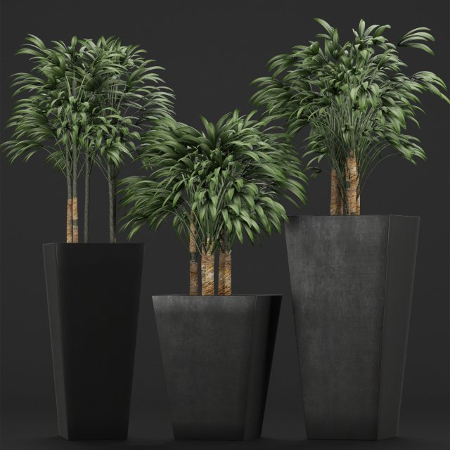 plants collection 10 Modelo 3D .c4d .max .obj .3ds .fbx .stl .blend 