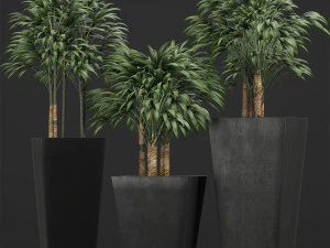 植物系列10 3D 模型