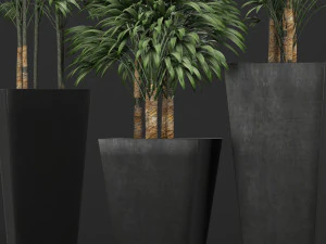 plants collection 10 3D Model