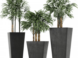 plants collection 10 Modelo 3D