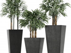 plants collection 10 3D Model