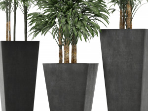 plants collection 10 Modelo 3D