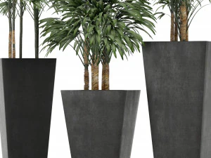 plants collection 10 3D Model