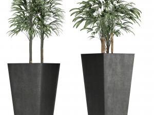 plants collection 10 Modelo 3D