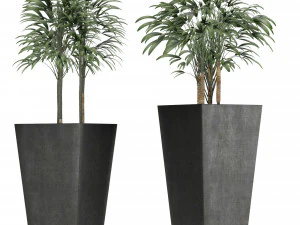 plants collection 10 3D Model