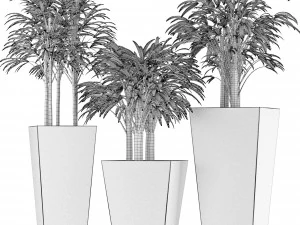 plants collection 10 3D Model
