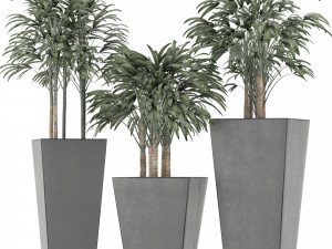plants collection 10 Modelo 3D