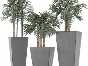 plants collection 10 3D Model
