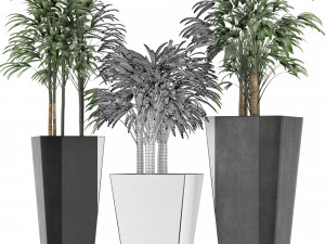 plants collection 10 Modelo 3D