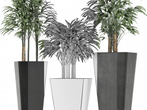 plants collection 10 3D Model