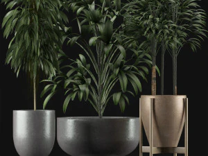 collection de plantes 11 Modèle 3D