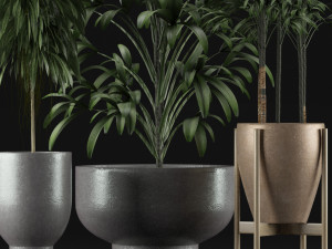 plants collection 11 Modelo 3D