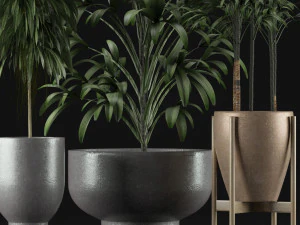 plants collection 11 3D Model