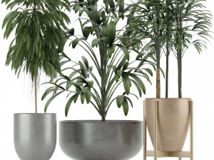 plants collection 11 Modelo 3D