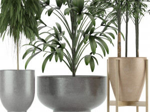 plants collection 11 Modelo 3D