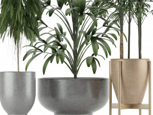 plants collection 11 3D Model