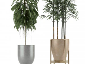 plants collection 11 3D Model