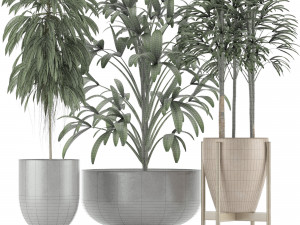 plants collection 11 Modelo 3D